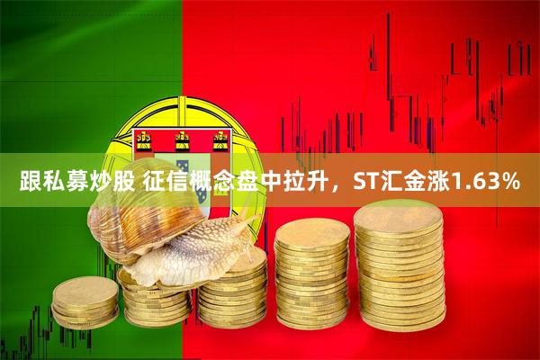 跟私募炒股 征信概念盘中拉升，ST汇金涨1.63%