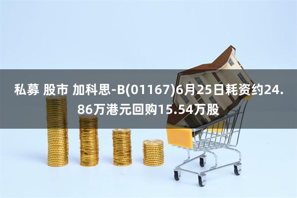 私募 股市 加科思-B(01167)6月25日耗资约24.86万港元回购15.54万股