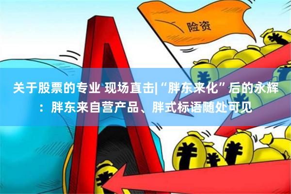 关于股票的专业 现场直击|“胖东来化”后的永辉：胖东来自营产品、胖式标语随处可见