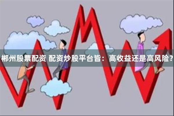 郴州股票配资 配资炒股平台皆：高收益还是高风险？