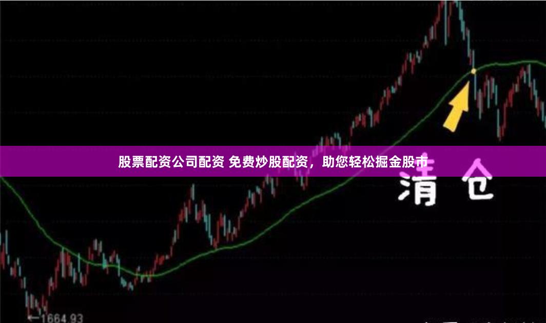 股票配资公司配资 免费炒股配资，助您轻松掘金股市