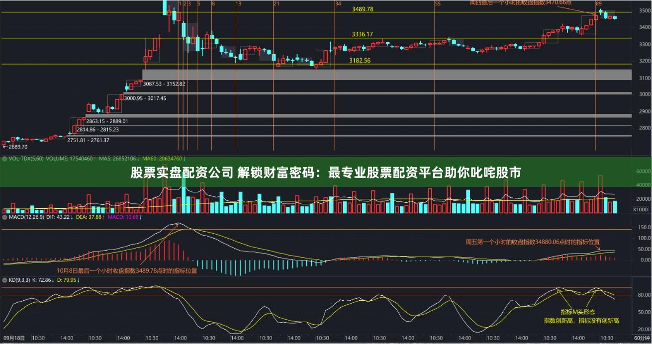 股票实盘配资公司 解锁财富密码：最专业股票配资平台助你叱咤股市